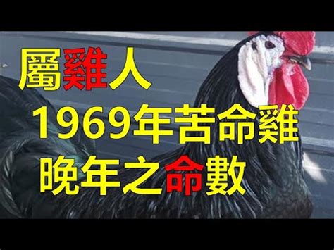 1969屬雞2023幸運色|【1969 屬雞2023 幸運色】1969年屬雞人2023年忌諱色 